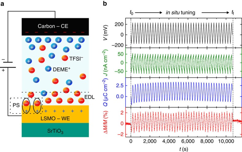 in-situ measurement of ME supercapacitor