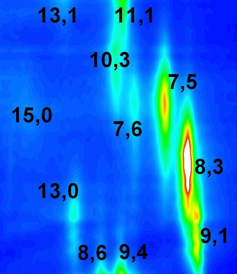 Raman map mapping