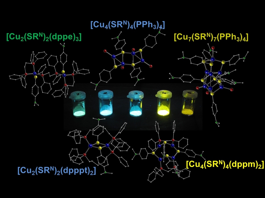 Molecular Transition Metal Clusters