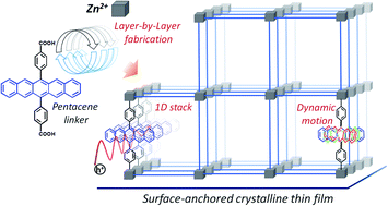 interplay of structural dynamics