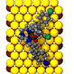 Tripodal Molecule on Au(111)